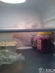 一天打开冰箱，发现，……