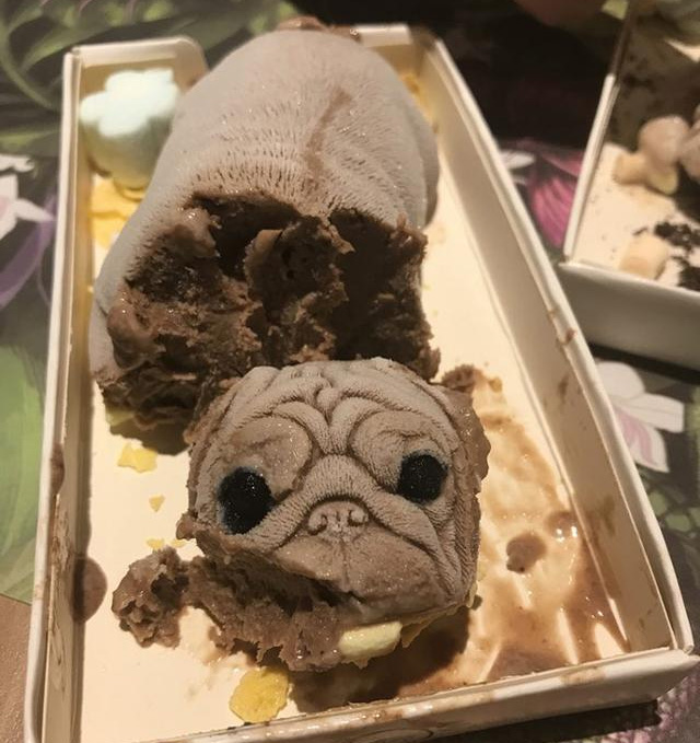 敢吃吗？台湾某店出售逼真的小狗形状冰淇淋