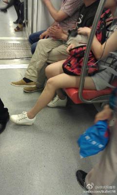 地铁里面可以带宠物狗……