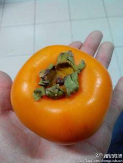 谁能告诉我这是脆柿子……