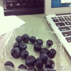 中国哪里产的蓝莓最好……