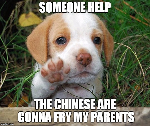 为什么中国人吃狗？