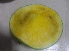 黄色的西瓜，这个是什……