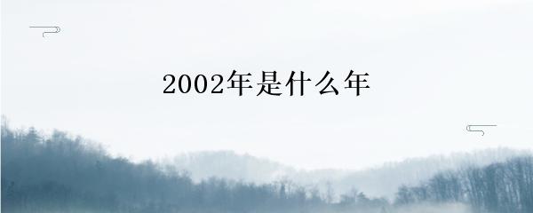 2002年是什么年