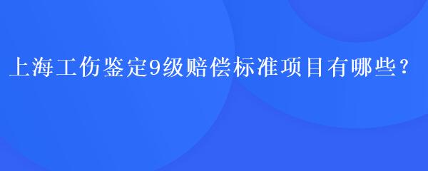上海工伤鉴定9级赔偿标准项目有哪些？