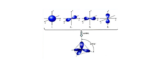 氧原子sp2杂化示意图图片