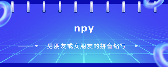 npy是什么意思网络用语