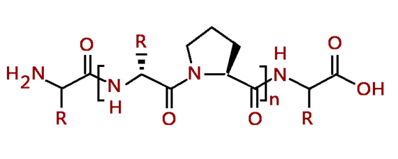 蛋白质分子示意图图片