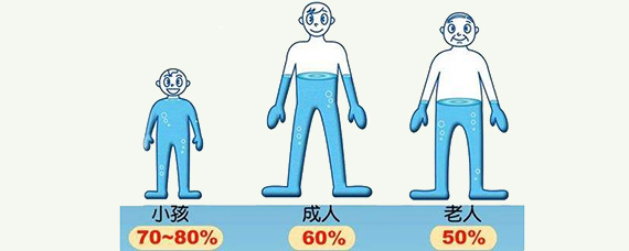 水占人体的百分之多少