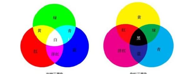 五种单色识别图答案图片