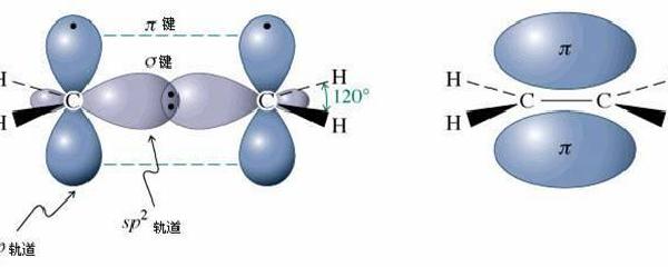 c的sp2杂化图片
