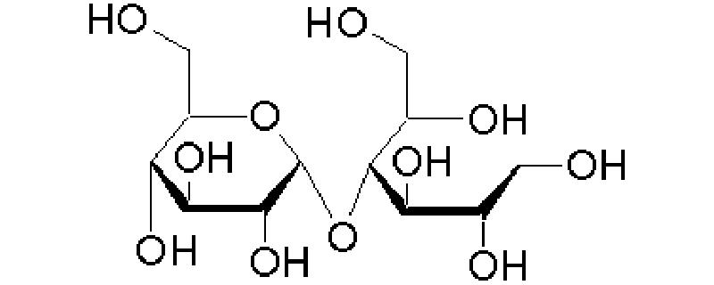 麦芽糖分子结构式图片