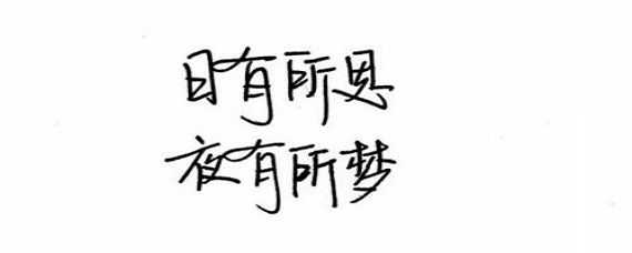 日有所思 夜有所梦这句话是什么意思