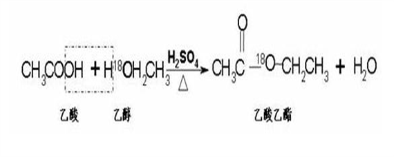 乙醇乙酸浓硫酸反应方程式