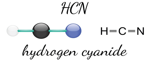 hcn路易斯结构式图片