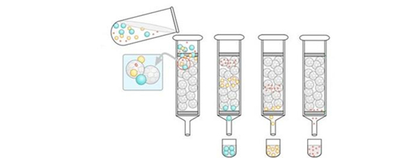 凝胶色谱适于分离图片